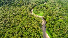 亚马逊雨林航空视图