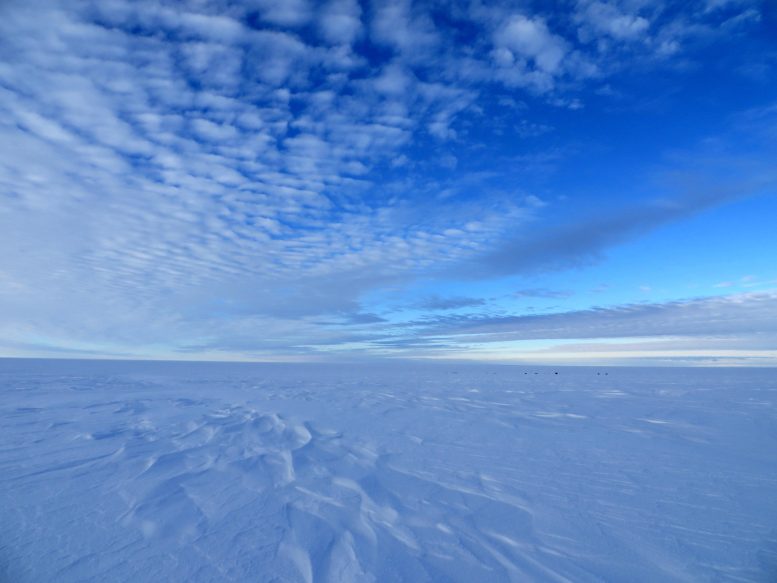 Amundsen海滨