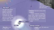 彗星信息图的剖析