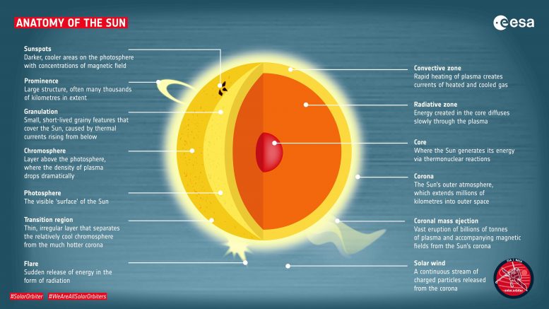 太阳的解剖学