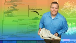 古代鳄鱼研究员威尔·吉尔蒂