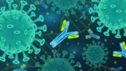抗体最能中和新冠病毒-19患者的冠状病毒
