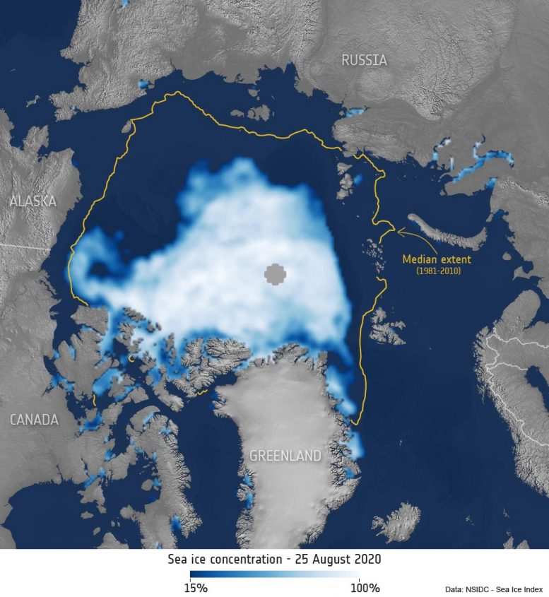 北极海冰浓度2020年8月