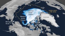 2020年北极海冰夏季极小期