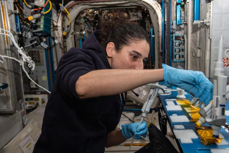 宇航员Jasmin Moghbeli脱氧核糖核酸样本用于生物模研究
