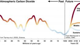 大气二氧化碳水平