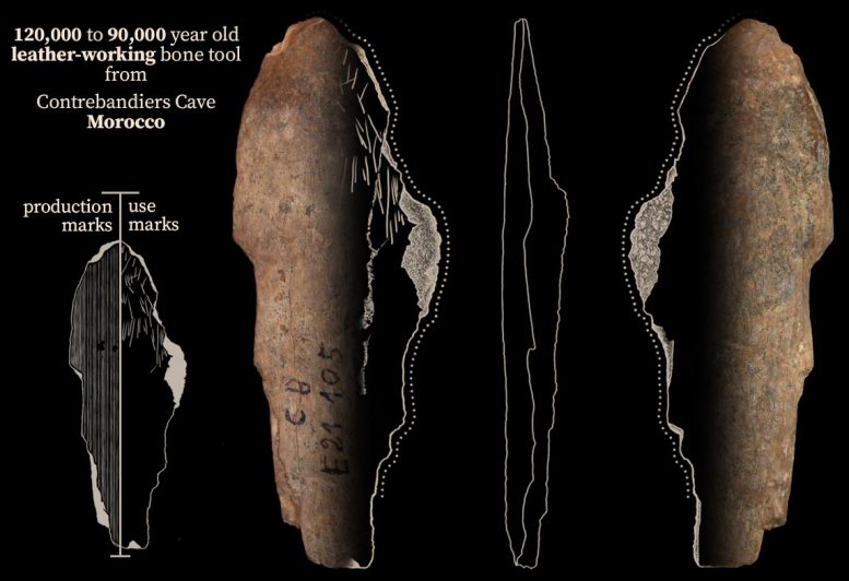 来自Contrebandiers Cave，摩洛哥的骨骼工具