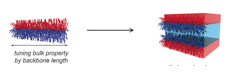 Janus接枝块共聚物 纳米结构材料的突破 Yabo208