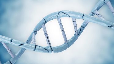 残破的DNA遗传学概念
