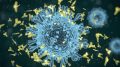 新冠病毒-19抗体