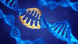 CRISPR遗传编辑概念