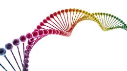 抗癌药物抑制DNA修复
