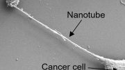 癌症NanotubeT细胞