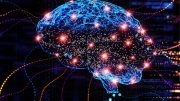多色脑智能AI说明