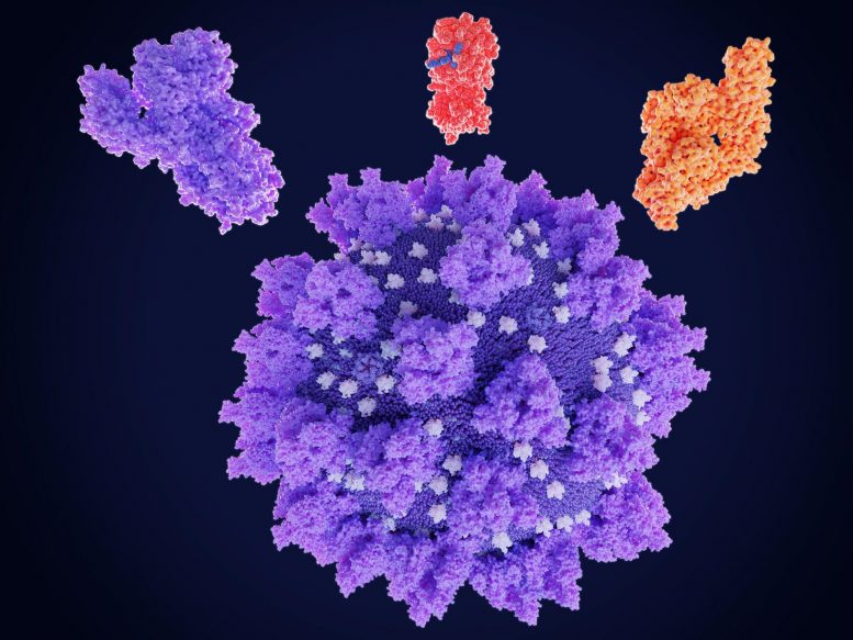 冠状病毒SARS COV 2蛋白药物靶标