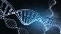 DNA遗传学