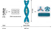 DNA折纸纳米结构