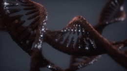 深色DNA双螺旋