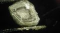 钻石封装来自地球深处的微小液体