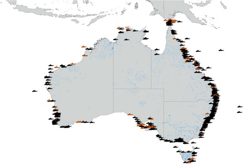 澳大利亚鲨鱼咬伤事件的分布