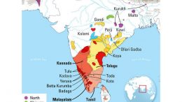 Dravidian语言家庭4500岁