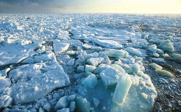 欧洲航天局(ESA)表示，北极海冰的体积已经增加