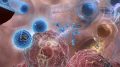 Exsocates向肺癌细胞交付IL12mRNA