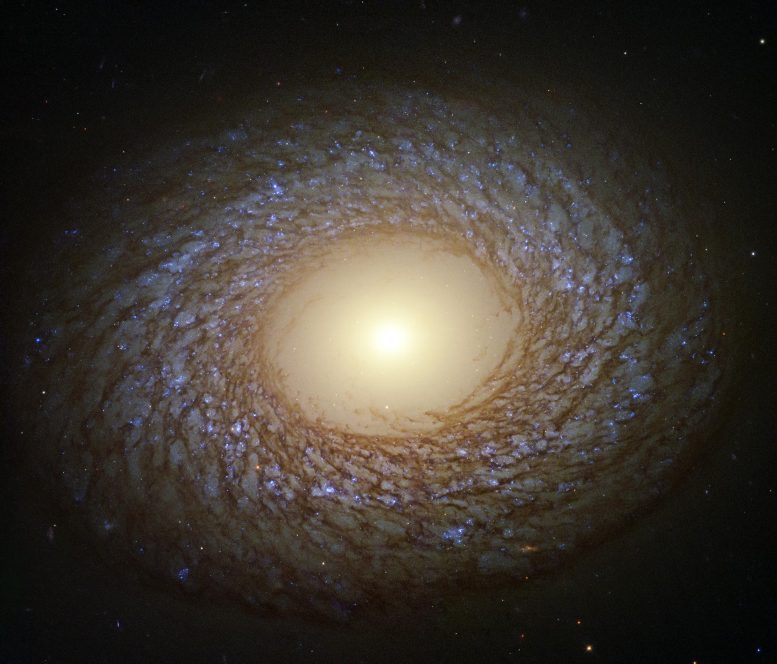 星系NGC 2775