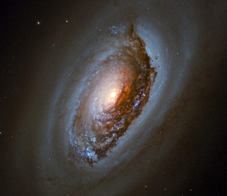 银河NGC4826