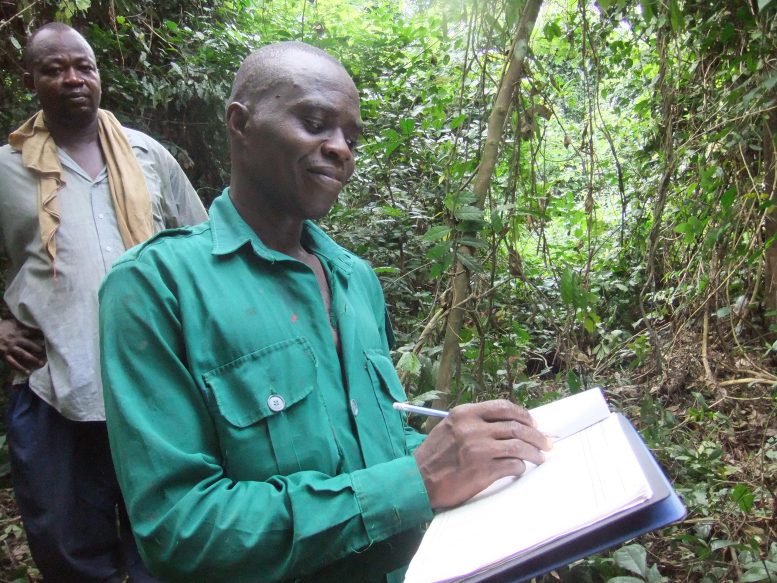 加纳林业委员会技术员