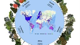 全球森林生物多样性倡议数据库