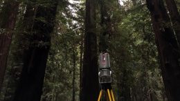 巨型加州红木树的丽达生物量