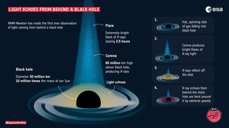 从黑洞后面的光呼应