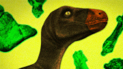 麻省理工学院的恐龙进化