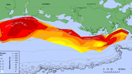 墨西哥湾缺氧区测量图