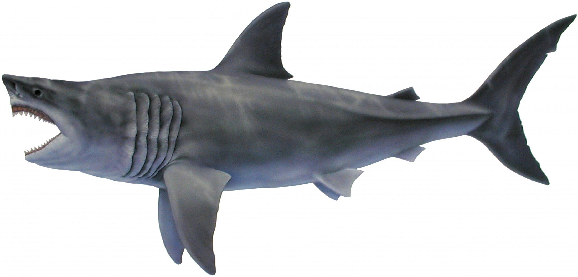 吴京加盟《巨齿鲨2》，剧中的鲨鱼史上真存在过，咬合力高达36吨 - 知乎