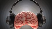 音乐的大脑