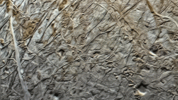 NASA Juno欧罗巴增强