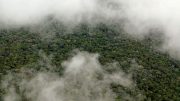 美国宇航局的研究表明亚马逊有自己的雨季