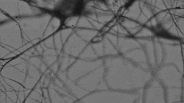 纳米纤维面膜过滤