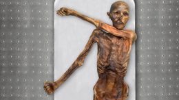 Neolitic Tyroleanceman“Ötzi”裁剪