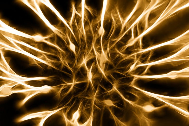 神经细胞艺术家图