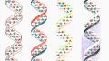 新的DNA测序技术和组装方法