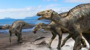 新恐龙物种Kamuysaurus japonicus