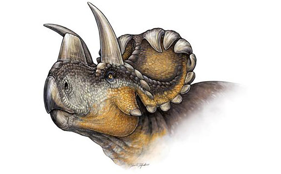 新发现的有角恐龙物种文德龙