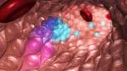 新技术提高了制造各种类型的血细胞来治疗疾病的可能性