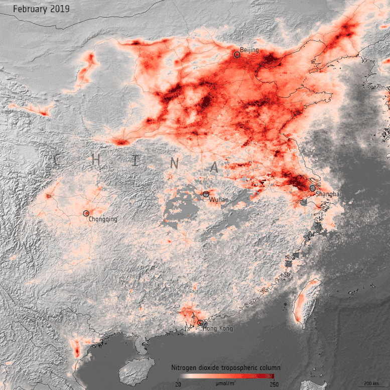 中国的二氧化氮浓度