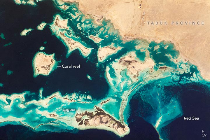 来自ISS Ins的西北沙特阿拉伯海岸线