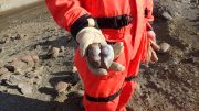 西北大学研究员持有化石蛤壳