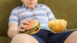 肥胖儿童持有junk食品